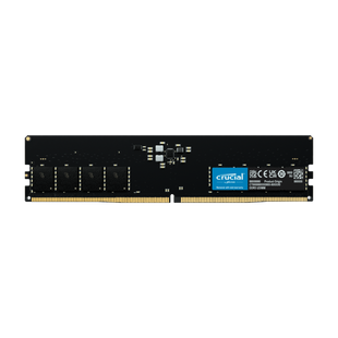 32GB DDR5 5600 MHz UDIMM Module Standard Compatible
