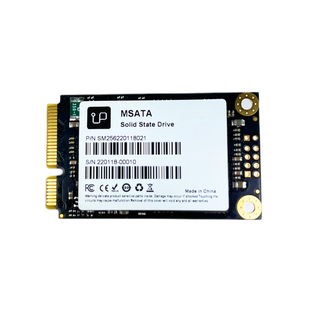 250GB Upgradeable mSATA