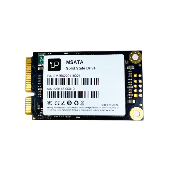 250GB Upgradeable mSATA